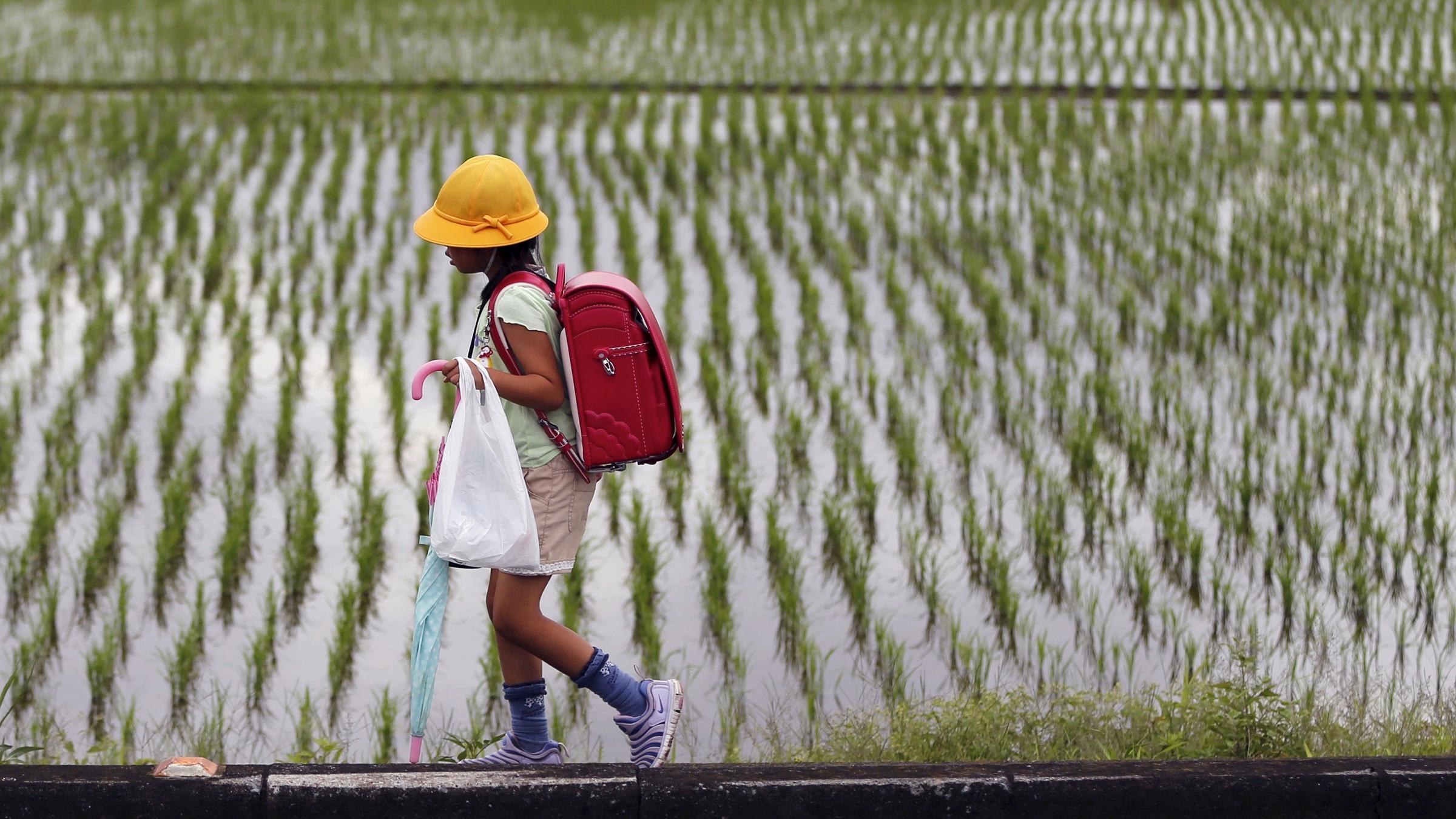 Teaching Sustainability: The Japanese model